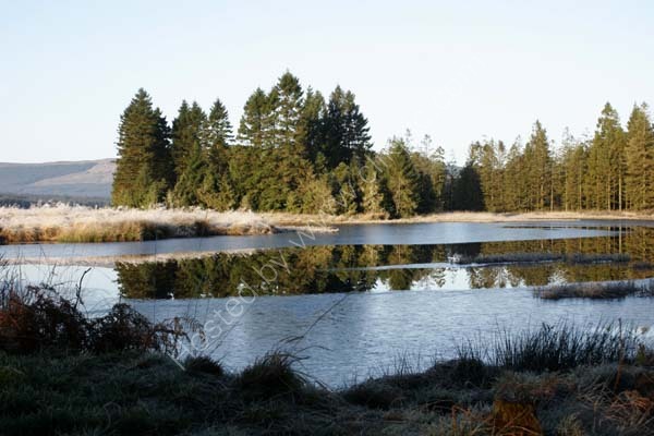 Thin Ice at Stroan Loch